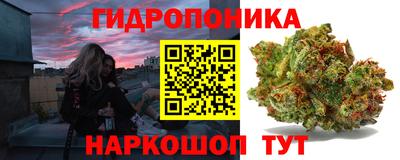 молекула духа Славянск-на-Кубани