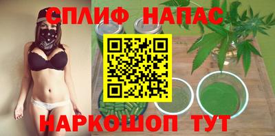 молекула духа Славянск-на-Кубани