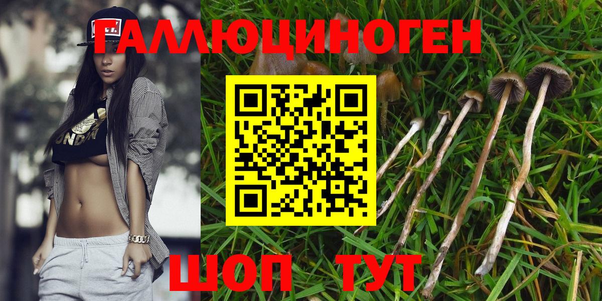 Галлюциногенные грибы Psilocybine cubensis  Вход с VPN  Малгобек  Галлюциногенные грибы прущие грибы 